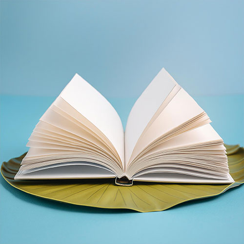 livre 1